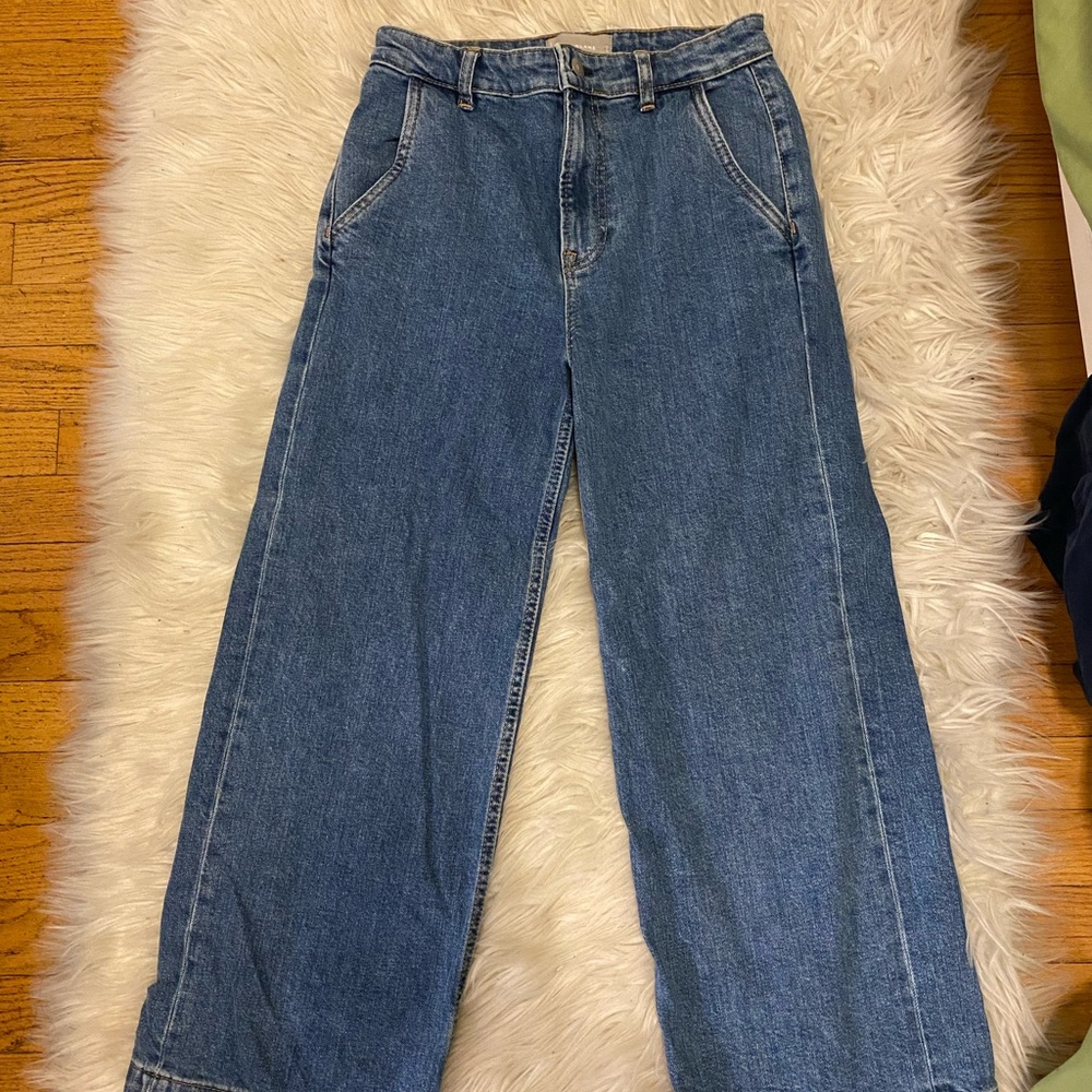Everlane The Wide Leg Jean
